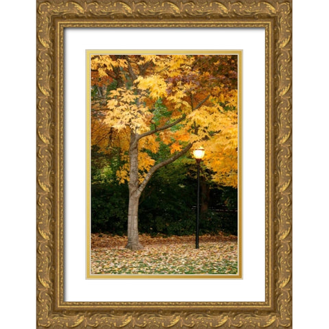 Fall Abundance X Gold Ornate Wood Framed Art Print with Double Matting by Geyman, Vitaly