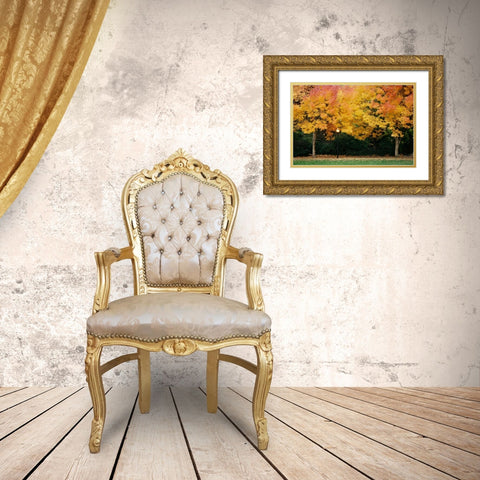 Fall Abundance V Gold Ornate Wood Framed Art Print with Double Matting by Geyman, Vitaly