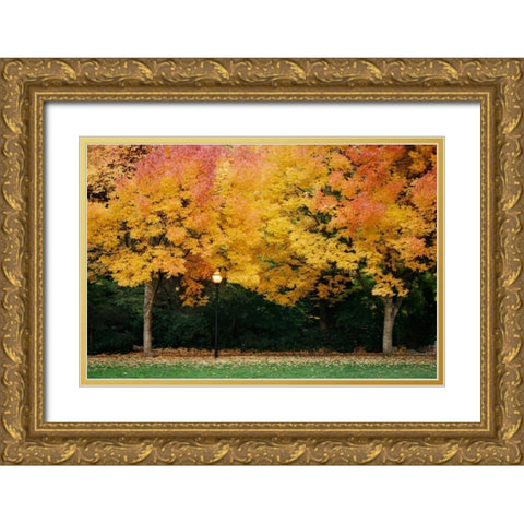 Fall Abundance V Gold Ornate Wood Framed Art Print with Double Matting by Geyman, Vitaly