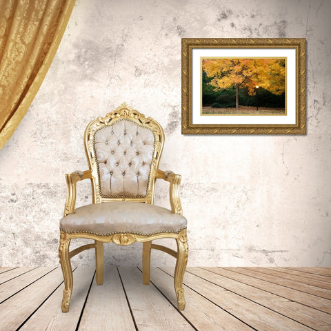 Fall Abundance VI Gold Ornate Wood Framed Art Print with Double Matting by Geyman, Vitaly