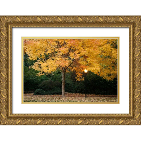 Fall Abundance VI Gold Ornate Wood Framed Art Print with Double Matting by Geyman, Vitaly