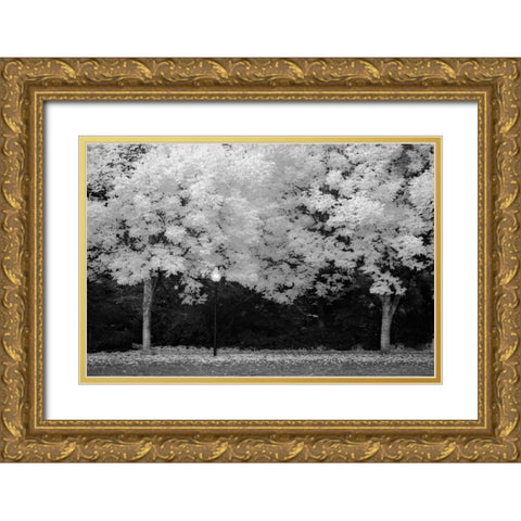 Fall Abundance V B and W Gold Ornate Wood Framed Art Print with Double Matting by Geyman, Vitaly