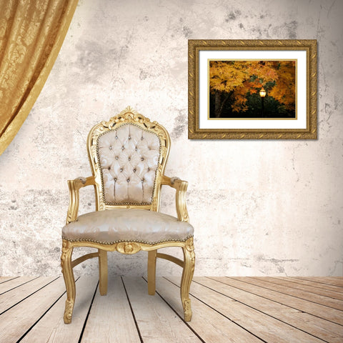 Fall Abundance VII Gold Ornate Wood Framed Art Print with Double Matting by Geyman, Vitaly