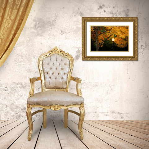 Fall Abundance VIII Gold Ornate Wood Framed Art Print with Double Matting by Geyman, Vitaly