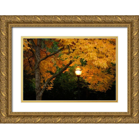 Fall Abundance VIII Gold Ornate Wood Framed Art Print with Double Matting by Geyman, Vitaly