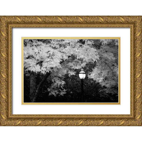 Fall Abundance VII B and W Gold Ornate Wood Framed Art Print with Double Matting by Geyman, Vitaly