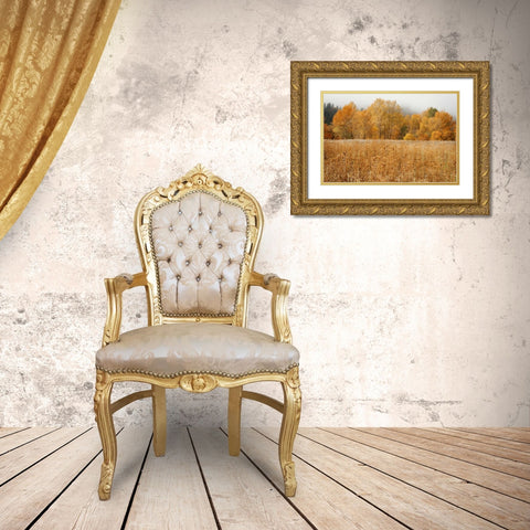 Field of Gold I Gold Ornate Wood Framed Art Print with Double Matting by Geyman, Vitaly