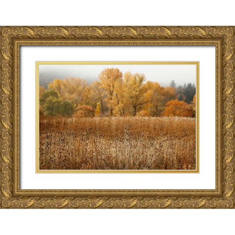 Field of Gold II Gold Ornate Wood Framed Art Print with Double Matting by Geyman, Vitaly