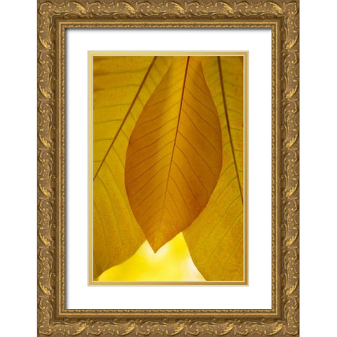Golden Leafs I Gold Ornate Wood Framed Art Print with Double Matting by Geyman, Vitaly