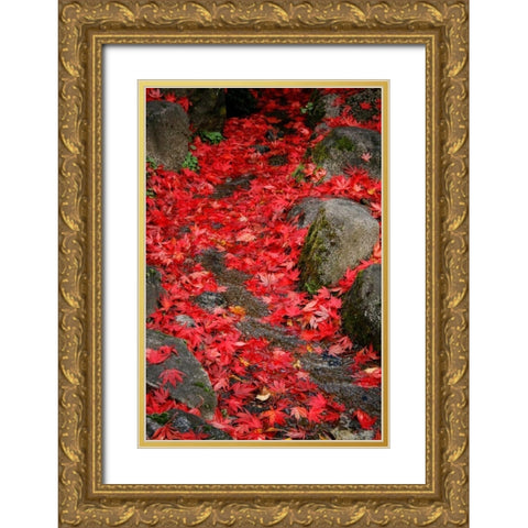 Fall Mandala II Gold Ornate Wood Framed Art Print with Double Matting by Geyman, Vitaly