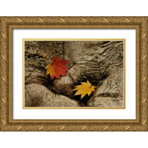 Ancient Beauty Gold Ornate Wood Framed Art Print with Double Matting by Geyman, Vitaly