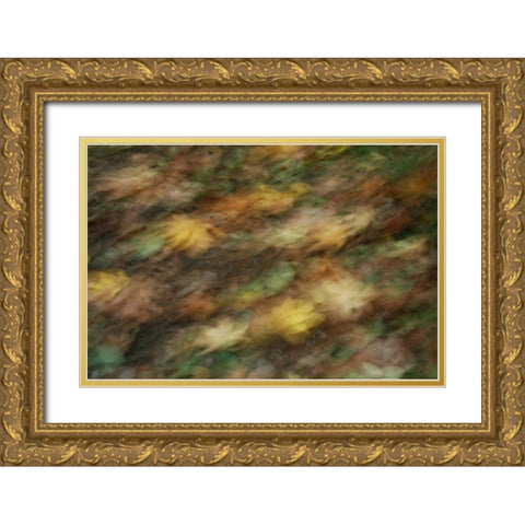 Fall Impressions I Gold Ornate Wood Framed Art Print with Double Matting by Geyman, Vitaly