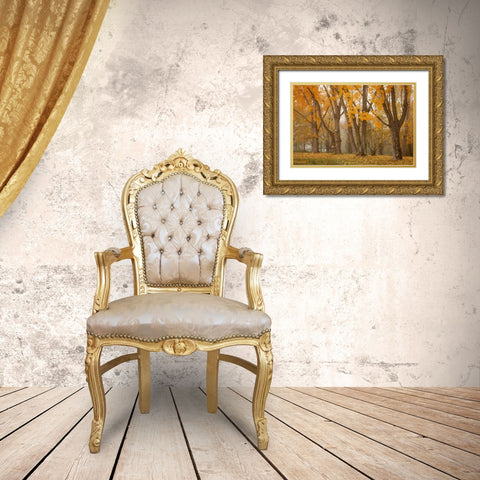 Maple Parade I Gold Ornate Wood Framed Art Print with Double Matting by Geyman, Vitaly