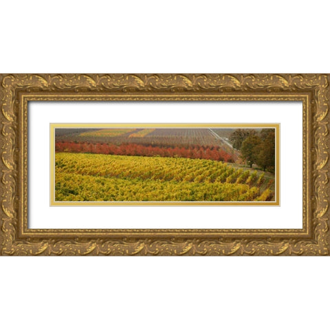 Vineyard Gold Ornate Wood Framed Art Print with Double Matting by Geyman, Vitaly