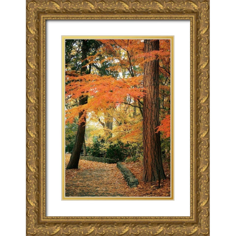 Fall Colors I Gold Ornate Wood Framed Art Print with Double Matting by Geyman, Vitaly