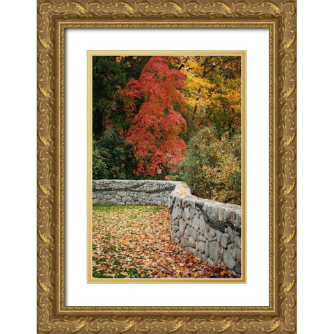 Fall Colors II Gold Ornate Wood Framed Art Print with Double Matting by Geyman, Vitaly
