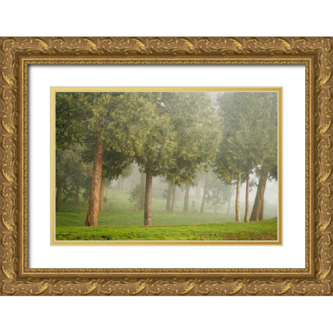 Mystic Woods I Gold Ornate Wood Framed Art Print with Double Matting by Geyman, Vitaly