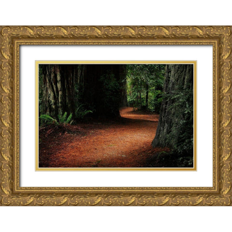 Redwood Mystery Gold Ornate Wood Framed Art Print with Double Matting by Geyman, Vitaly