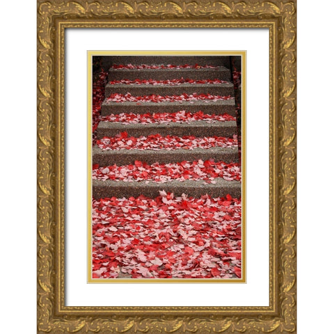 Red Carpet I Gold Ornate Wood Framed Art Print with Double Matting by Geyman, Vitaly