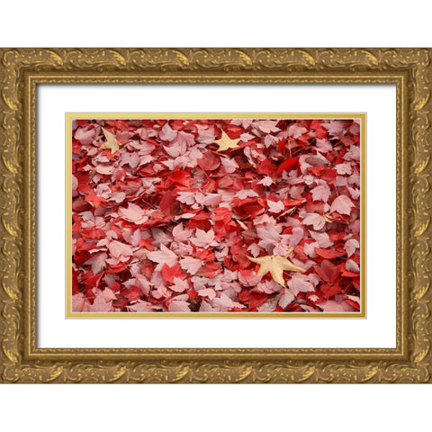 Red Carpet II Gold Ornate Wood Framed Art Print with Double Matting by Geyman, Vitaly
