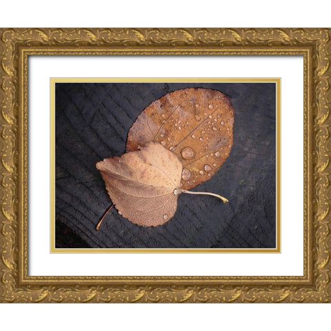 Seasons I Gold Ornate Wood Framed Art Print with Double Matting by Geyman, Vitaly