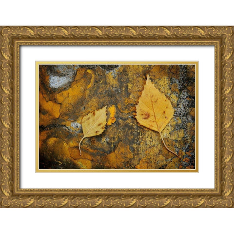Curb Leaves Gold Ornate Wood Framed Art Print with Double Matting by Geyman, Vitaly