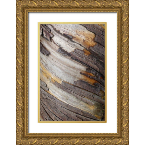 Bark Art I Gold Ornate Wood Framed Art Print with Double Matting by Geyman, Vitaly
