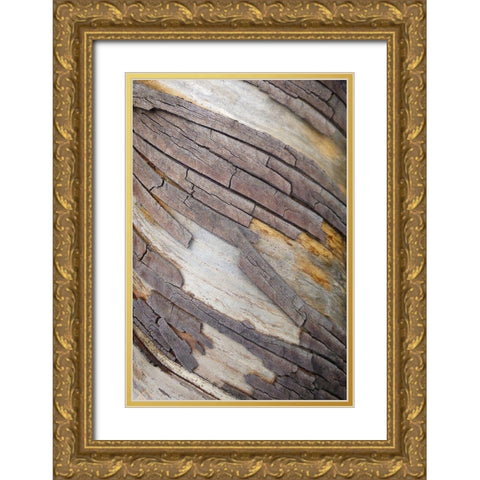 Bark Art II Gold Ornate Wood Framed Art Print with Double Matting by Geyman, Vitaly