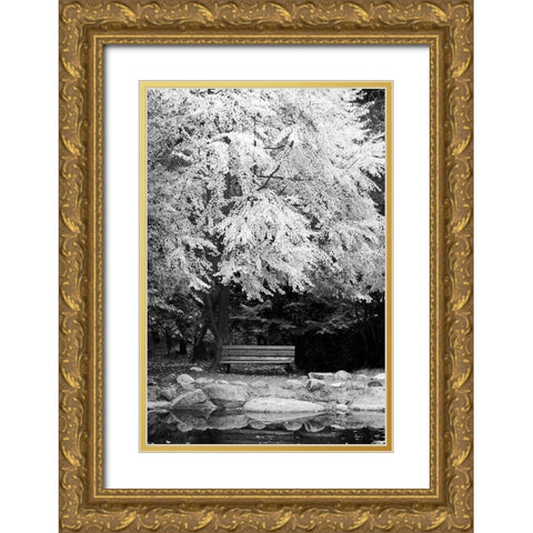 Silver Fall I Gold Ornate Wood Framed Art Print with Double Matting by Geyman, Vitaly