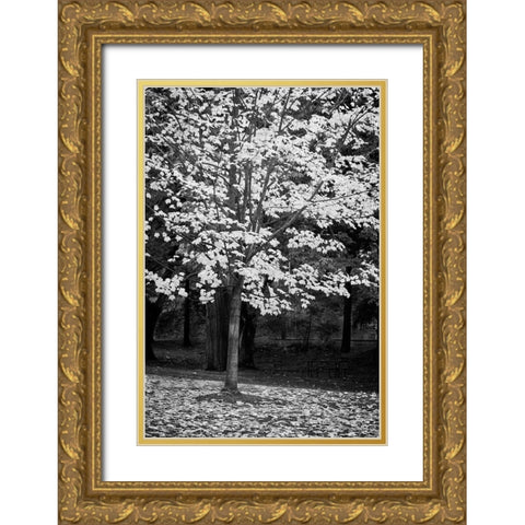 Silver Fall III Gold Ornate Wood Framed Art Print with Double Matting by Geyman, Vitaly