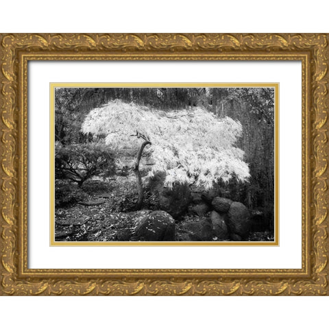 Magic Tree Gold Ornate Wood Framed Art Print with Double Matting by Geyman, Vitaly
