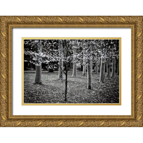 Primadona Gold Ornate Wood Framed Art Print with Double Matting by Geyman, Vitaly