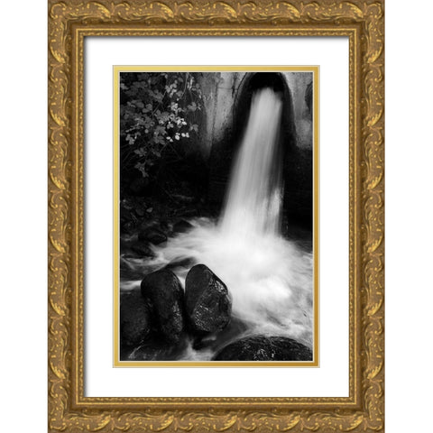 Tuscan Falls Gold Ornate Wood Framed Art Print with Double Matting by Geyman, Vitaly
