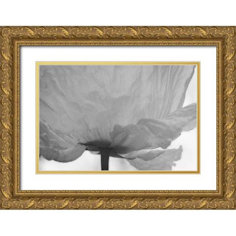Poppy Elegance I Gold Ornate Wood Framed Art Print with Double Matting by Geyman, Vitaly