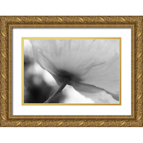 Poppy Elegance II Gold Ornate Wood Framed Art Print with Double Matting by Geyman, Vitaly