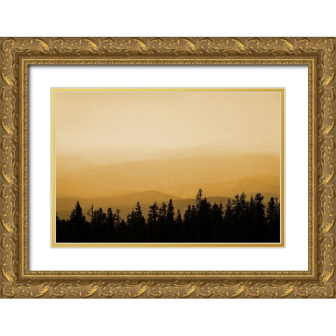 Shasta Silence I Gold Ornate Wood Framed Art Print with Double Matting by Geyman, Vitaly