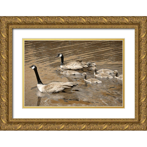 Canadian Geese Gold Ornate Wood Framed Art Print with Double Matting by Geyman, Vitaly