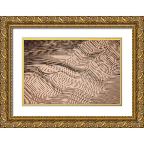 Net Art II Gold Ornate Wood Framed Art Print with Double Matting by Geyman, Vitaly