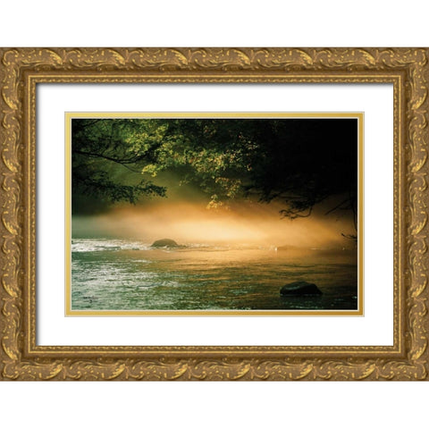 Evening Glow I Gold Ornate Wood Framed Art Print with Double Matting by Studio 2