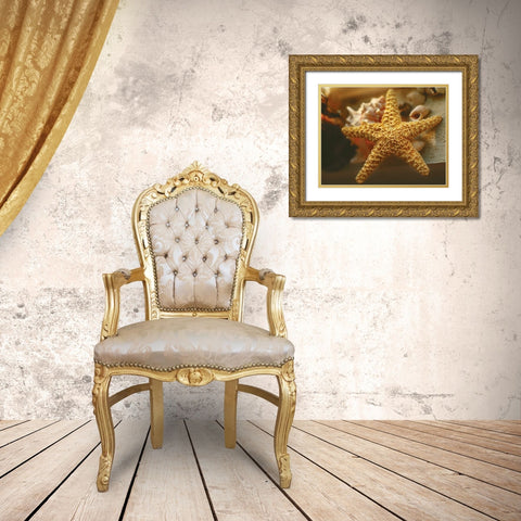 Starfish I Gold Ornate Wood Framed Art Print with Double Matting by Clayton-Thompson, Philip