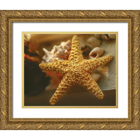 Starfish I Gold Ornate Wood Framed Art Print with Double Matting by Clayton-Thompson, Philip