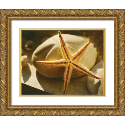 Starfish II Gold Ornate Wood Framed Art Print with Double Matting by Clayton-Thompson, Philip
