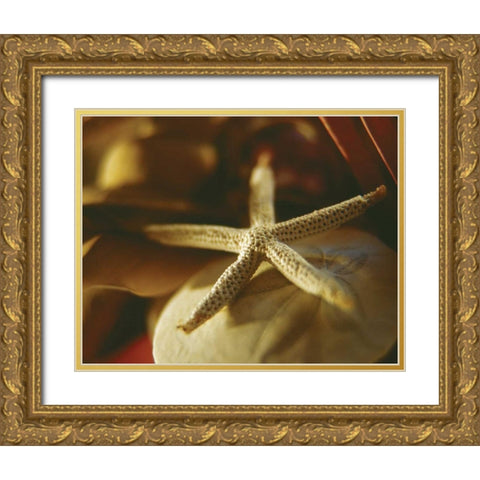 Starfish III Gold Ornate Wood Framed Art Print with Double Matting by Clayton-Thompson, Philip