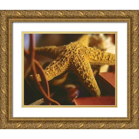 Starfish IV Gold Ornate Wood Framed Art Print with Double Matting by Clayton-Thompson, Philip