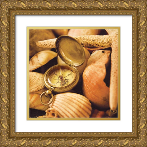 Lost in Time II Gold Ornate Wood Framed Art Print with Double Matting by Clayton-Thompson, Philip