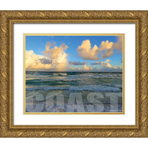 Florida Coast Gold Ornate Wood Framed Art Print with Double Matting by Williams, Todd