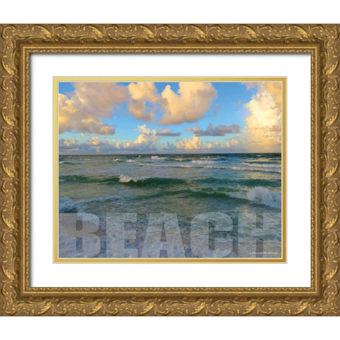 Florida Beach Gold Ornate Wood Framed Art Print with Double Matting by Williams, Todd