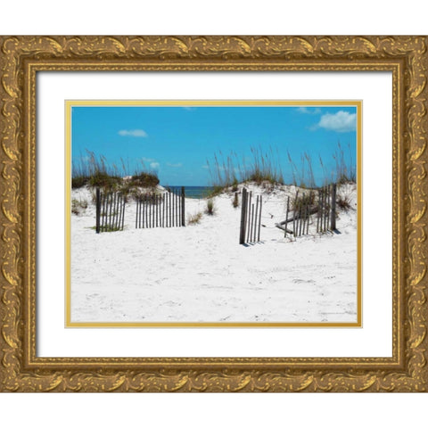 Sand Dunes III Gold Ornate Wood Framed Art Print with Double Matting by Williams, Todd