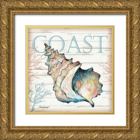 Coast Shell Gold Ornate Wood Framed Art Print with Double Matting by Williams, Todd