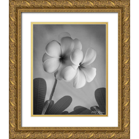 Plumeria I Gold Ornate Wood Framed Art Print with Double Matting by Geyman, Vitaly